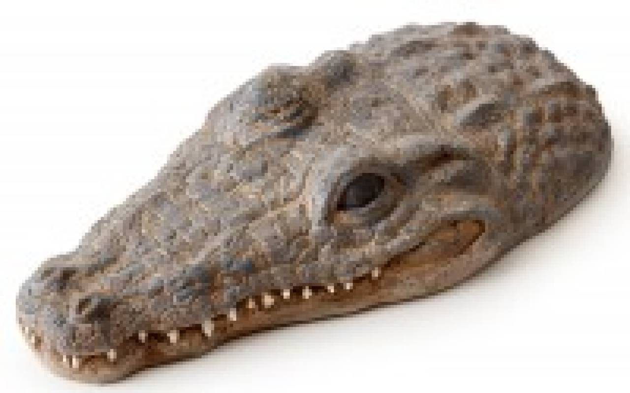 Exo Terra Turtle Islands